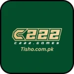C222 Game