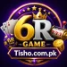 6R Game