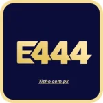 E444 Game