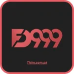 FD999 Game