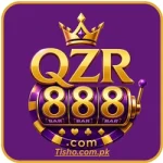 QZR 888 Game